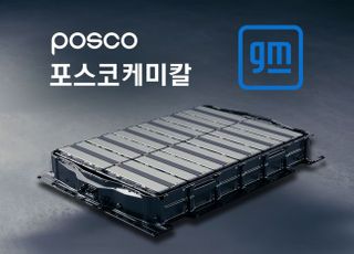 포스코-GM, 美에 전기차 배터리용 양극재 합작사 만든다