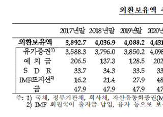 11월 외환보유고, 환율 급등에 5개월만에 감소 전환 