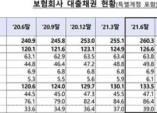 보험사 3분기 말 대출 262조…석 달 새 2조↑