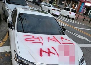 "렉서스 씨X" 불법 주차한 일본 차 테러 놓고 '갑론을박'