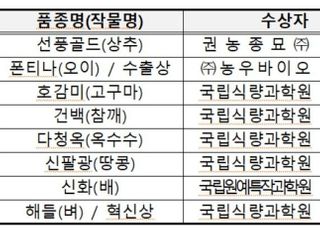 올해 대한민국우수품종 대통령상에 ‘선풍골드 상추’ 수상