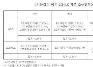 LG-LX, 지분 정리 마무리… 계열분리 요건 충족