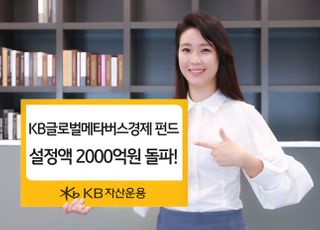 KB자산운용, '글로벌메타버스경제펀드' 설정액 2000억 돌파