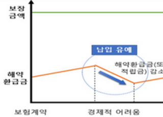 금감원 "유니버셜 보험 중도인출 조건 확인 필수"…소비자경보 발령