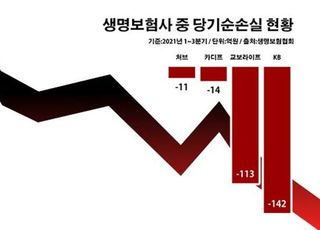 경영 위기감 커지는데…중소 생보사 '적자의 늪'