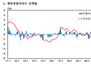 11월 생산자물가 13년 최대 상승...배추 53% 급등