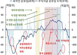 [금융안정보고서] "통화 정상화 가속 시 外人 자금 유출 압박"