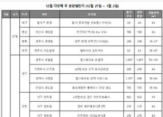 [주간분양] 1만3495가구 연말 '막판 분양'…전년 대비 2배↑