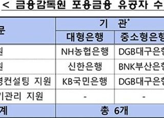 국민·신한·농협은행, 금감원 포용금융 유공 포상