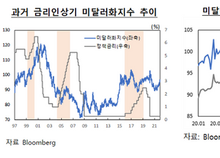 한은 외자운용원 “美 연준, 내년 3차례 금리 인상...달러 강세”