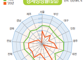 ‘공무원의 힘’ 세종시…코로나19 피해 빗겨갔다