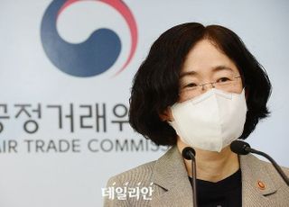 눈치보는 공정위, 해운·항공 기업 합병 결국 해 넘긴다