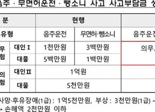 새해부터 음주·무면허·뺑소니 사고부담금 최대 1억7000만원