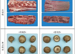 설 선물·제수용 농식품 원산지표시 일제 단속