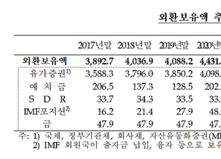 12월 외환보유액 전월비 7억9천만 달러↓...9위로 하락