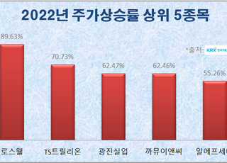 정치테마주, 연초부터 '요동'…대선 후보 공약에 70% 폭등