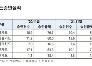 '단계적 일상회복 효과' 지난해 11월 카드 지출액 급증