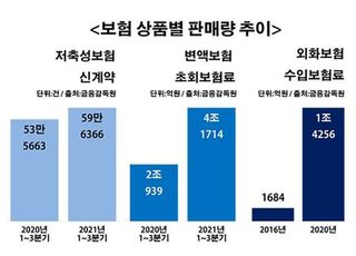 [금리상승기 재테크②] 저축성보험 '맑음', 변액보험 '흐림'