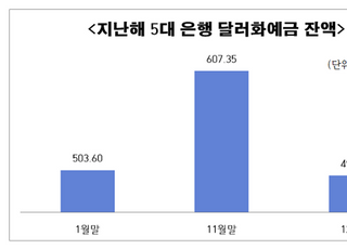 환율 뛰자 팔았다...5대 은행, 지난해 달러 예금 18%↓ ‘뚝’