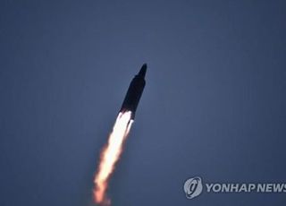 [속보] 미 국무 "북한 WMD·탄도미사일 대응에 모든 적절한 수단 활용"