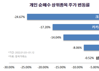 '카카오·네이버' 사모은 개미들 수익률 '뚝뚝'…성장주 반등 가능성은?