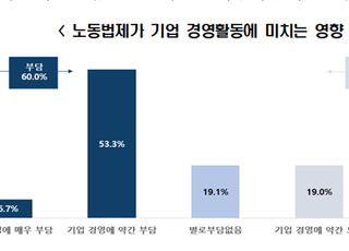 전경련 “韓 노동법제, 기업 경영에 부담된다”