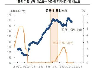 하이투자증권 “회색 코뿔소, 자산가격 과열보다 中 리스크 주목”