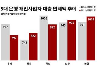 은행권 자영업 대출 연체 관리 '경고등'