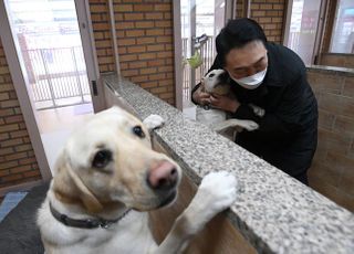 안내견과 포옹하는 '토리 아빠' 윤석열