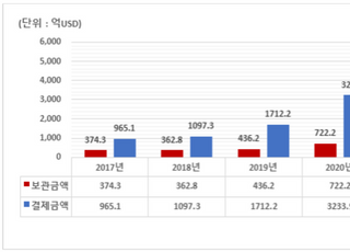 지난해 외화증권 보관액 1006억 달러 '역대 최대'…테슬라 1위