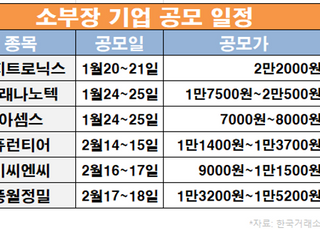 IPO 대어 틈바구니 낀 소부장, 공모 흥할까?