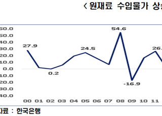 한경연 “원자재값 상승에 기업 부담 확대”