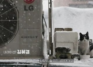 "쫓아내지만 말아주세요"…김혜경, 동물권 보호 영상 내레이션