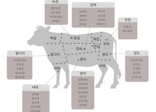 설날 한우고기, 아는 만큼 잘 고른다