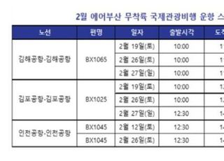 에어부산, 2월 무착륙 국제관광비행 8회 운항...인천발 재개