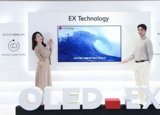 LGD, 진격의 OLED 실적 견인…프리미엄 시장 활약 ‘눈길’(종합)