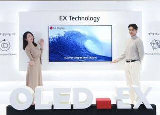 LG디스플레이, 분기 첫 OLED 200만대 출하…대세화 속도