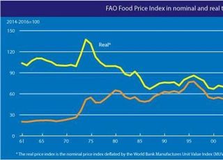 올해 첫 달 세계식량가격지수, 11년만 최고치