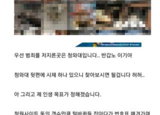 "청원수만큼 죽일 거다"…고양이 얼굴에 불 지르더니 대규모 살해 예고한 학대범