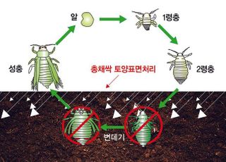 팜한농, 해충 번데기 방제하는 '총채싹' 성과 인정 받아