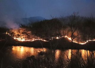 산림청, 영덕 산불피해 조사·복구추진단 파견