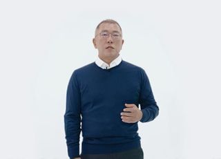 정의선의 품질경영 美서 통했다…IIHS 등 잇단 최고 평가