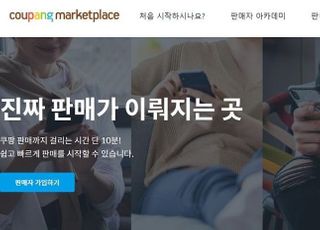 판매자 정보 알리지 않은 네이버·카카오·쿠팡 등 ‘시정명령’