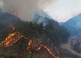 산림청장 "울진 산불, 담뱃불 원인 추정…현재 40% 진압"