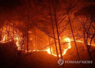 울진·삼척 산불 나흘째, 당국 오늘중 주불진화 목표…건조하고 바람 약해