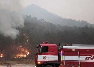 [속보] 산림청장 "울진 산불 오늘 진화 쉽지 않아, 주불 진화 목표…내일 오전 진화 최선"