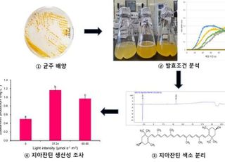 신종 해양미생물서 눈질환 예방 천연색소 물질 발견돼