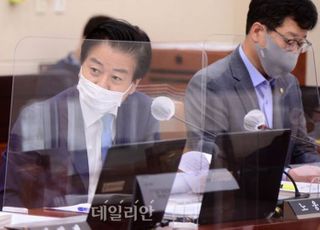 노웅래 "당 지도부 내려놓는 게 능사?…책임 지선 이후로"