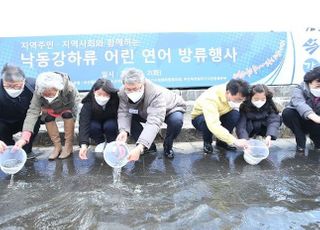 환경부, 낙동강 하구 인근 하천 어린 연어 30만 마리 방류