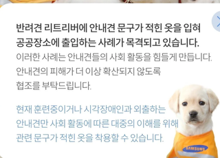 "안내견 옷 입힌 채 공공장소 출입을"…장애인과 보조견 울리는 '비상식'